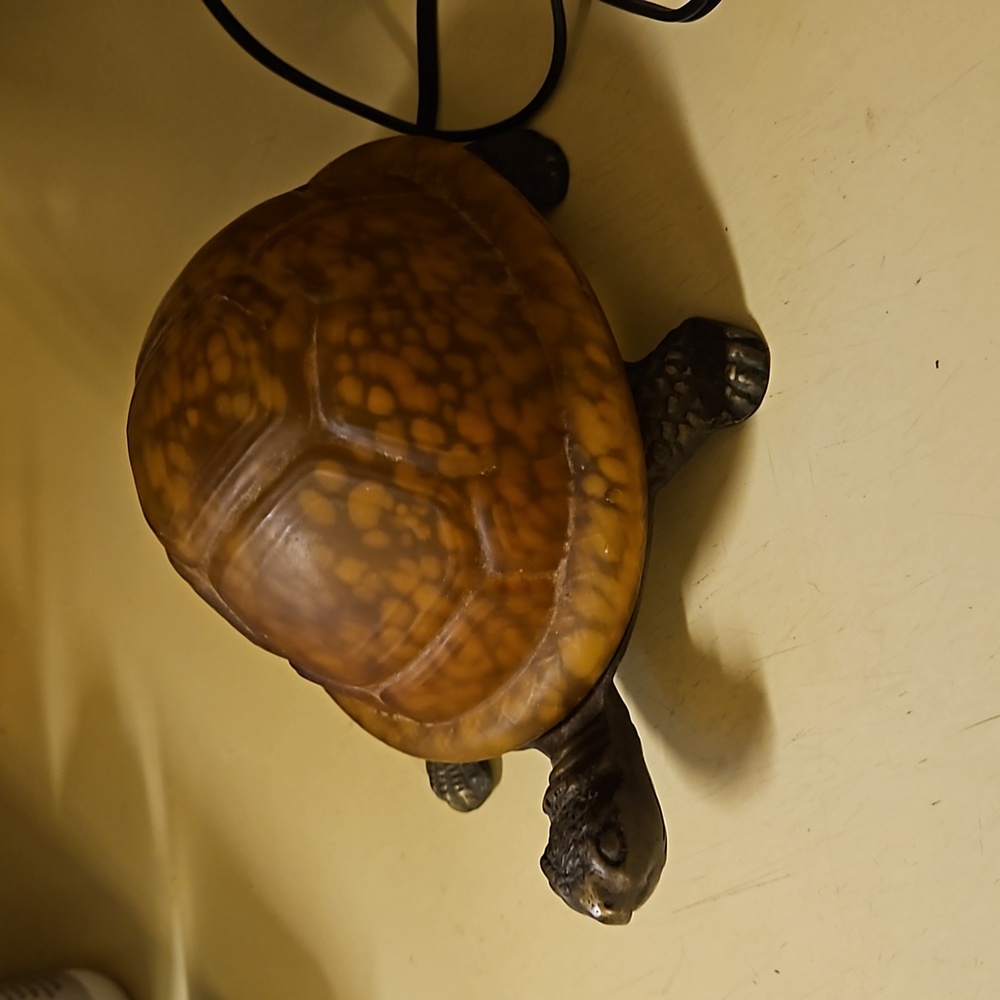 Meyda Turle Lamp